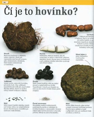 Neuvěřitelná fakta o hovínku