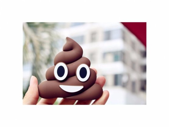 Powerbanka POOP